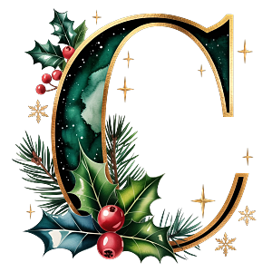 Personalisierter DTF Bügelbild Buchstabe für Weihnachtsservietten in 12cm – exklusiv und nur für kurze Zeit