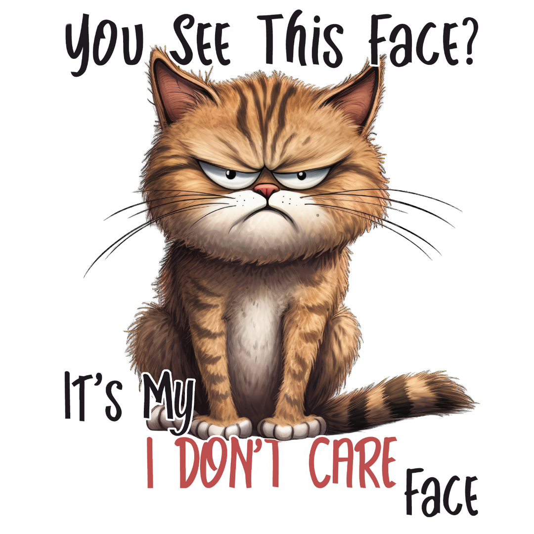 Bügelbild - Plott - Don't care Face - 11,7cm x 14cm